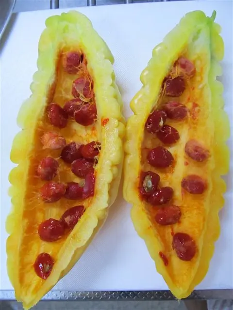 ゴーヤ下ごしらえ！苦味取りの超簡単な方法3選とおすすめ調理法カゴメ株式会社