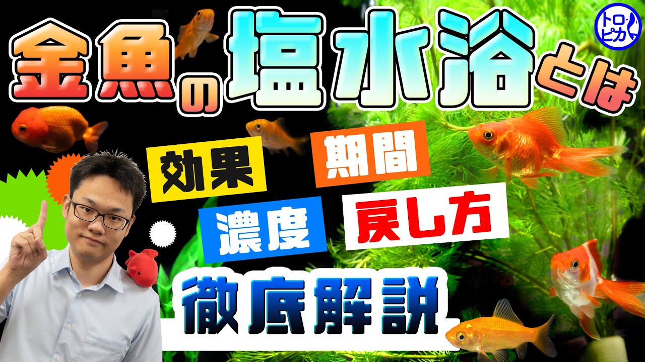 塩水浴のやり方！メダカや金魚・熱帯魚の病気においての塩の効果と使い方