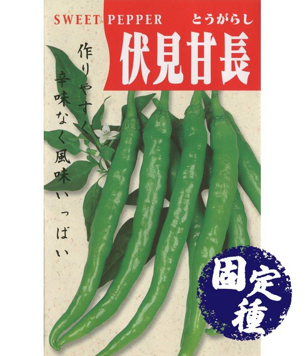 奇跡のとうがらし『万願寺甘とう』京野菜 kyoyasai.kyoto