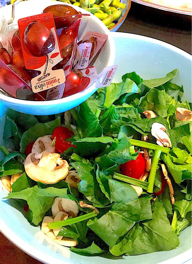 コストコ アマニ油320g x2 3個セット コストコ「minioliva 小分けバルサミコ酢＆オリーブオイル」