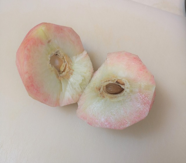 桃の追熟士が教える 一番美味しくなる桃の食べ頃 はこのタイミングだ！！菓子工房mike 東広島市で親しまれる洋菓子店御饌cacaoは、西条酒蔵通りにあるチョコレート・焼き菓子の専門店