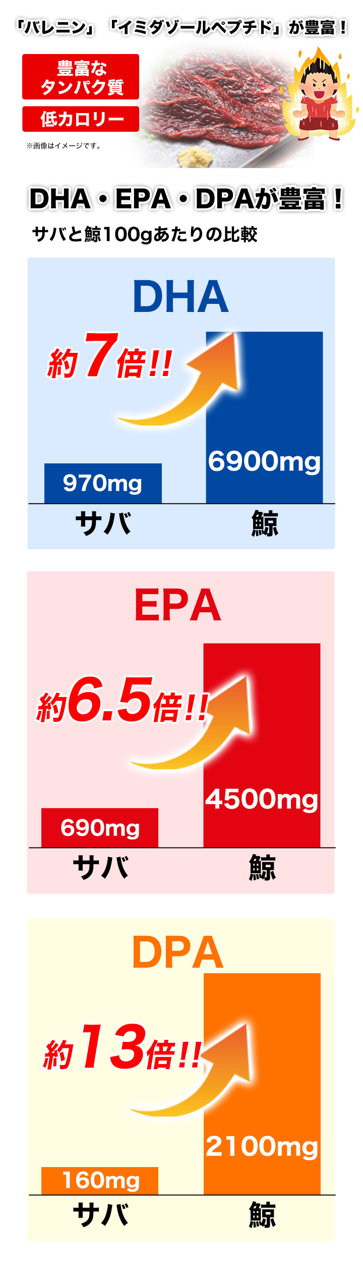 20％OFF熟成生食 ミンク鯨の赤肉背肉1級約230～280ｇ×5個セット無添加 くじら・鯨肉専門の通販∥くじら日和本店