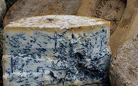 白カビチーズ自作への道、コンプリート自作チーズオリーブノート公式 - カラダに美味しい、オイルのノート