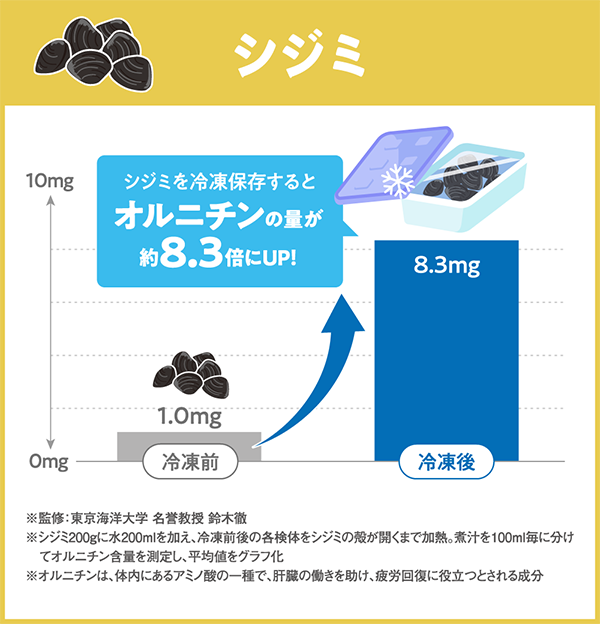 しじみの保存方法まとめ冷蔵・冷凍・砂抜き後のベストな対応とは？宍道湖産 大和しじみ通販大粒・冷凍・ギフト対応 コクヨー