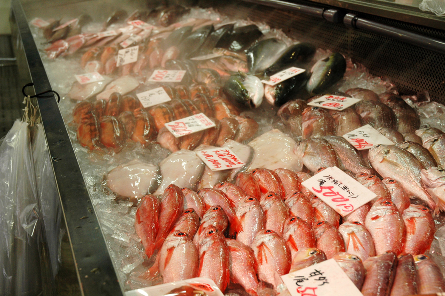 新鮮で安価に鮮魚やクジラが買える！漁協直営「太地漁協スーパー」耳ヨリくじら情報くじらタウン