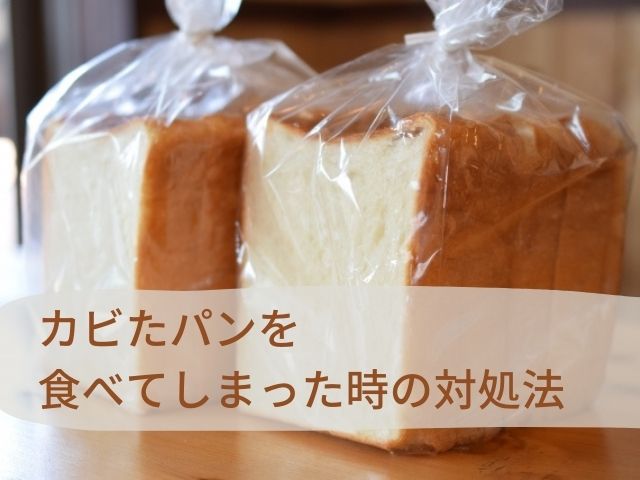 パンの白カビは取れば食べれる？毒性あり？白い粉との見分け方も紹介！ ちそう