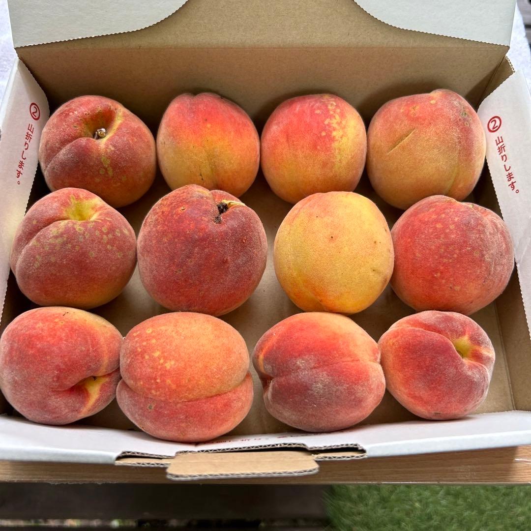 CocoRo♡farm クイーンルージュ 2㎏ ワッサージャムを一個プレゼント! 🌿* ぶどう好き