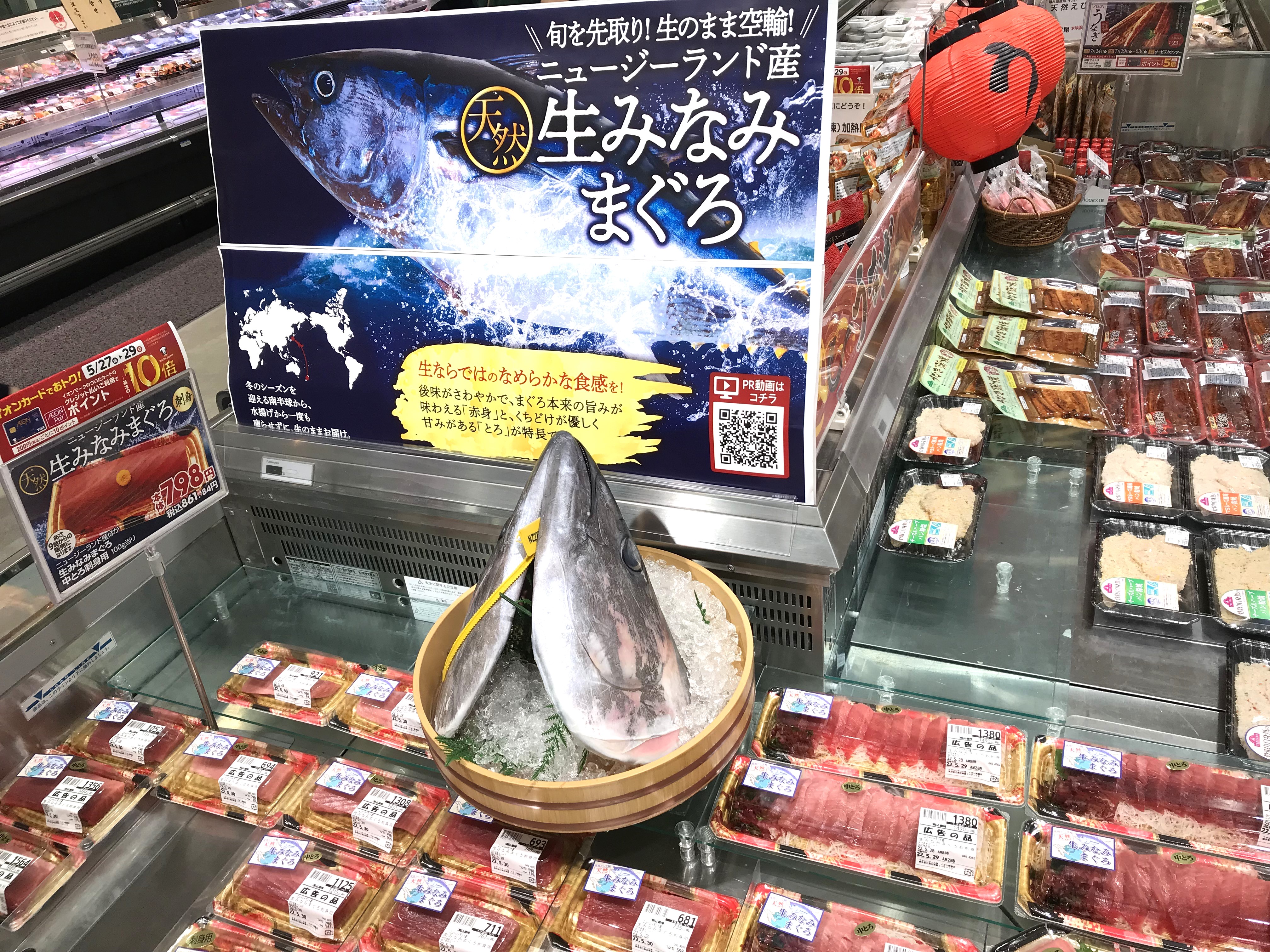 横浜八景島仙台うみの杜水族館様でクロマグロの模型展 – 株式会社ティーズ・クリップ
