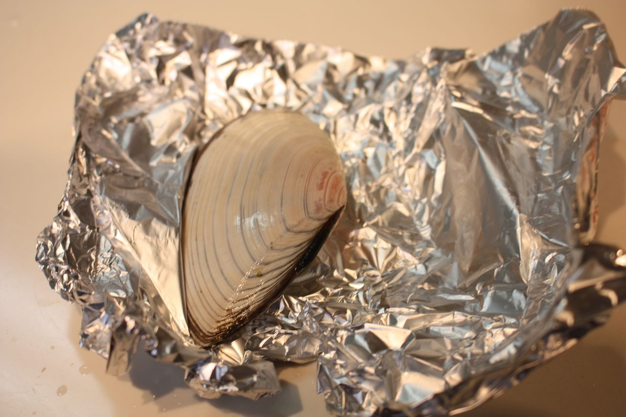 おいしさ満点ハマグリ！BBQが更なる高みへ！絶品レシピもご紹介♪BBQ NET