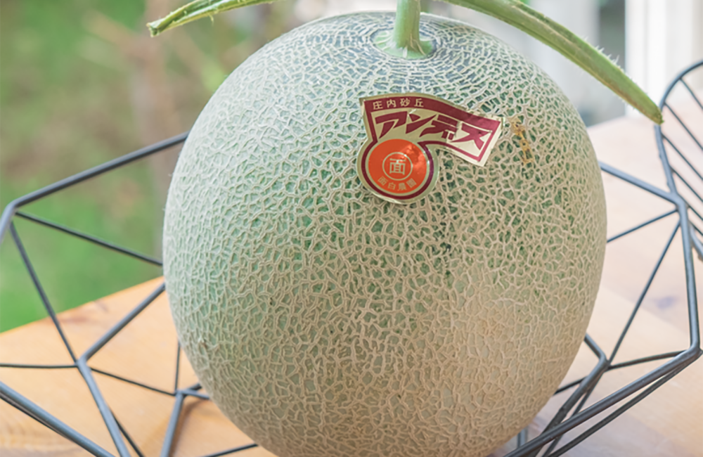 キンショーメロン キンショウメロンメロン 品種の特徴 食べ方 選び方
