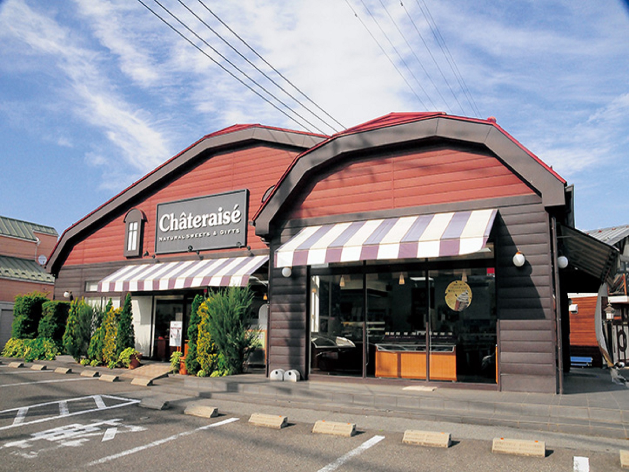 シャトレーゼ県内再進出 PIKOがFCオーナー、来年2月北島店オープン経済PICKUPニュース徳島新聞デジタル