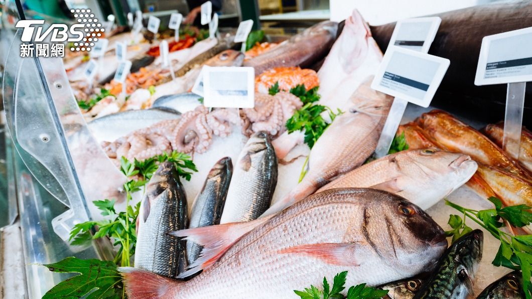 梭魚可以吃嗎？ : r saltwaterfishing