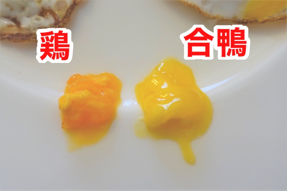 卵を使った料理の深掘りガイド！多種多様な食材で楽しむ食べレア北海道北海道の食材お取り寄せ通販サイト