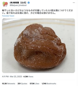 梅干し緊急大移動苺ちょこたん☆ぶろぐ