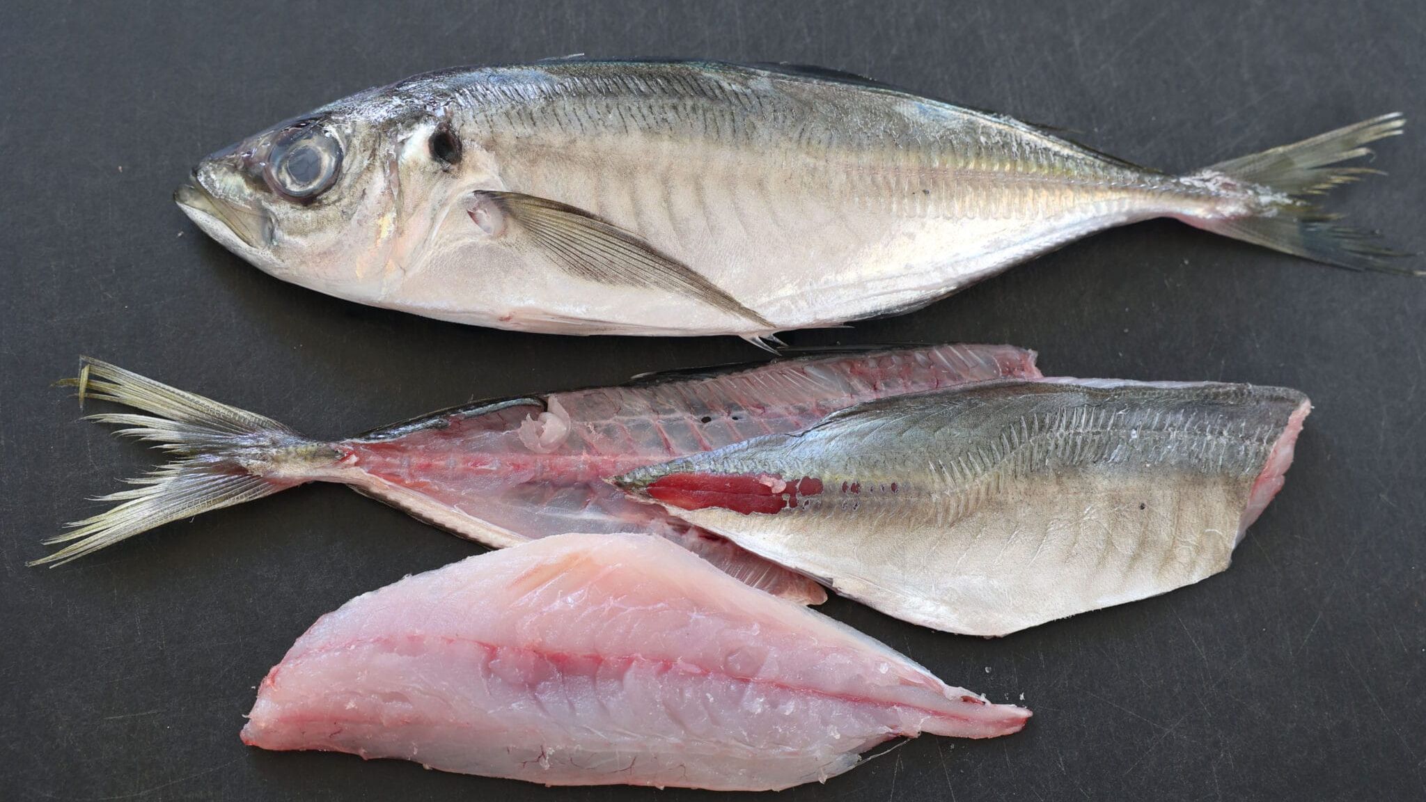 真アジの煮付けってどんな味？美味しく出来る作り方をご紹介！よちよちエクスプレス