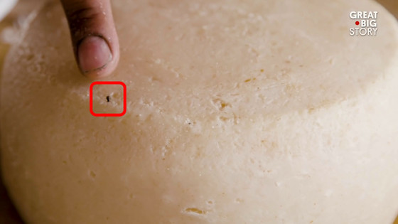 カース・マルツゥ：禁断の美味？ サルデーニャの伝統とリスク