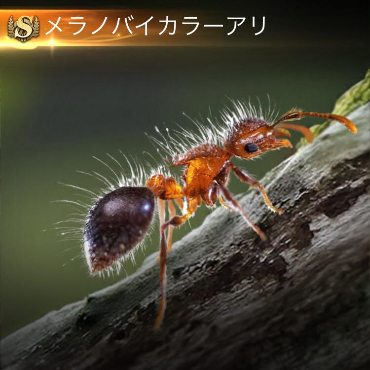 知ろうとする君！可愛いねっ！ものづくりと生き物飼育