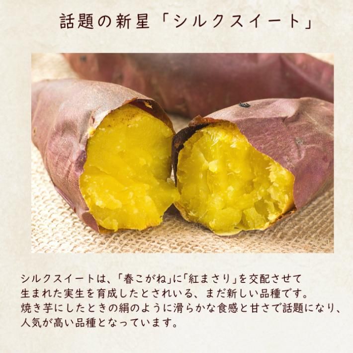 Amazon.co.jp:MSKSHOP さつまいも シルクスイート 紅はるか 紅あずま 5kg 千葉茨城県産 大容量 甘い焼き芋などにサツマイモA等級シルクスイートM5kg: 食品・飲料・お酒