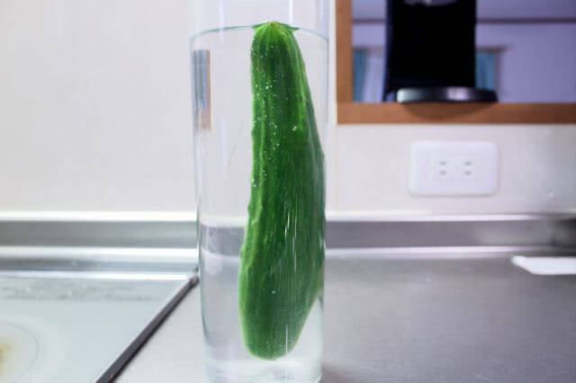 しなびたきゅうり 復活TikTok