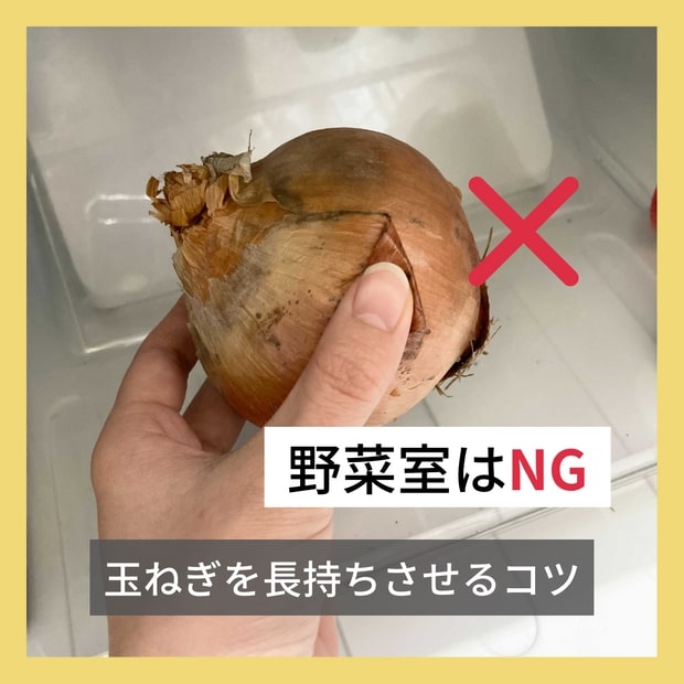 玉ねぎの保存方法 - 野菜の保存方法 料理の基礎レシピサイトNadia