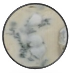 チーズに賞味期限はある？腐るの？白いフワフワしたカビや茶色い変色などのお悩みを解決！