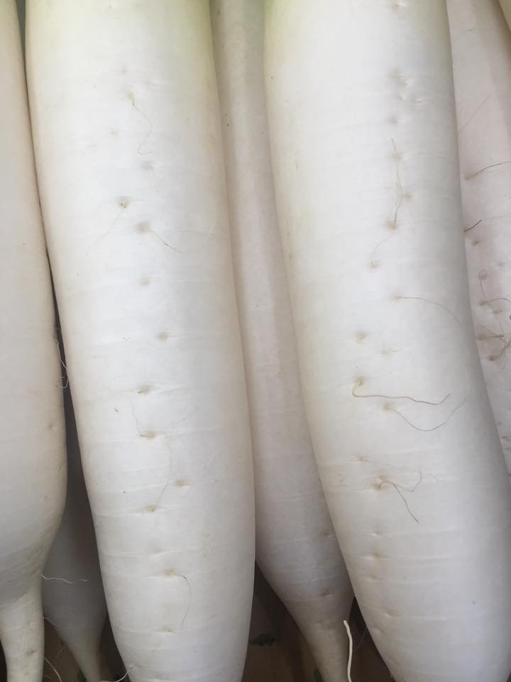 大根の部位別の特徴 辛い部分はどっち？ 大根おろしに向いているのは？季節の食材のHOW TOアマノフーズ公式ブランドサイト