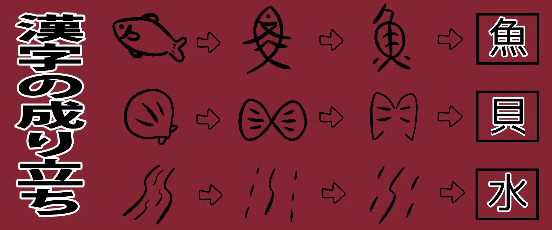 北海道の大衆魚ほっけのすべてを魚屋が説明します