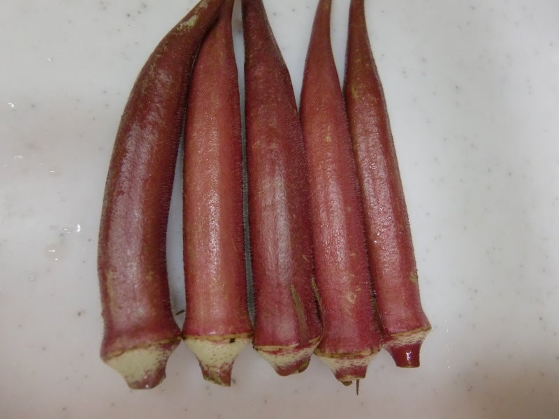 赤オクラ業務用食材の仕入れなら八面六臂