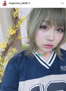 お弁当にかわいいりんごのリボンカット♪