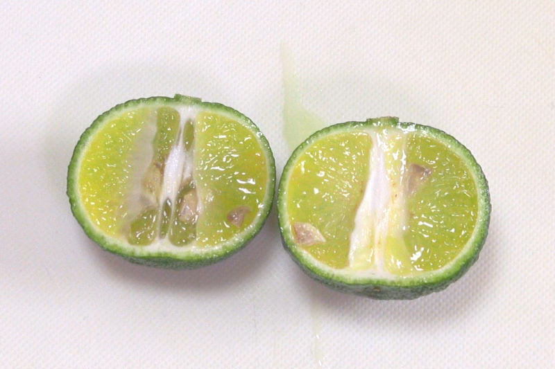 果汁がガッツリ2倍しぼれる！レモンの切り方はこれだ！！暮らしニスタ