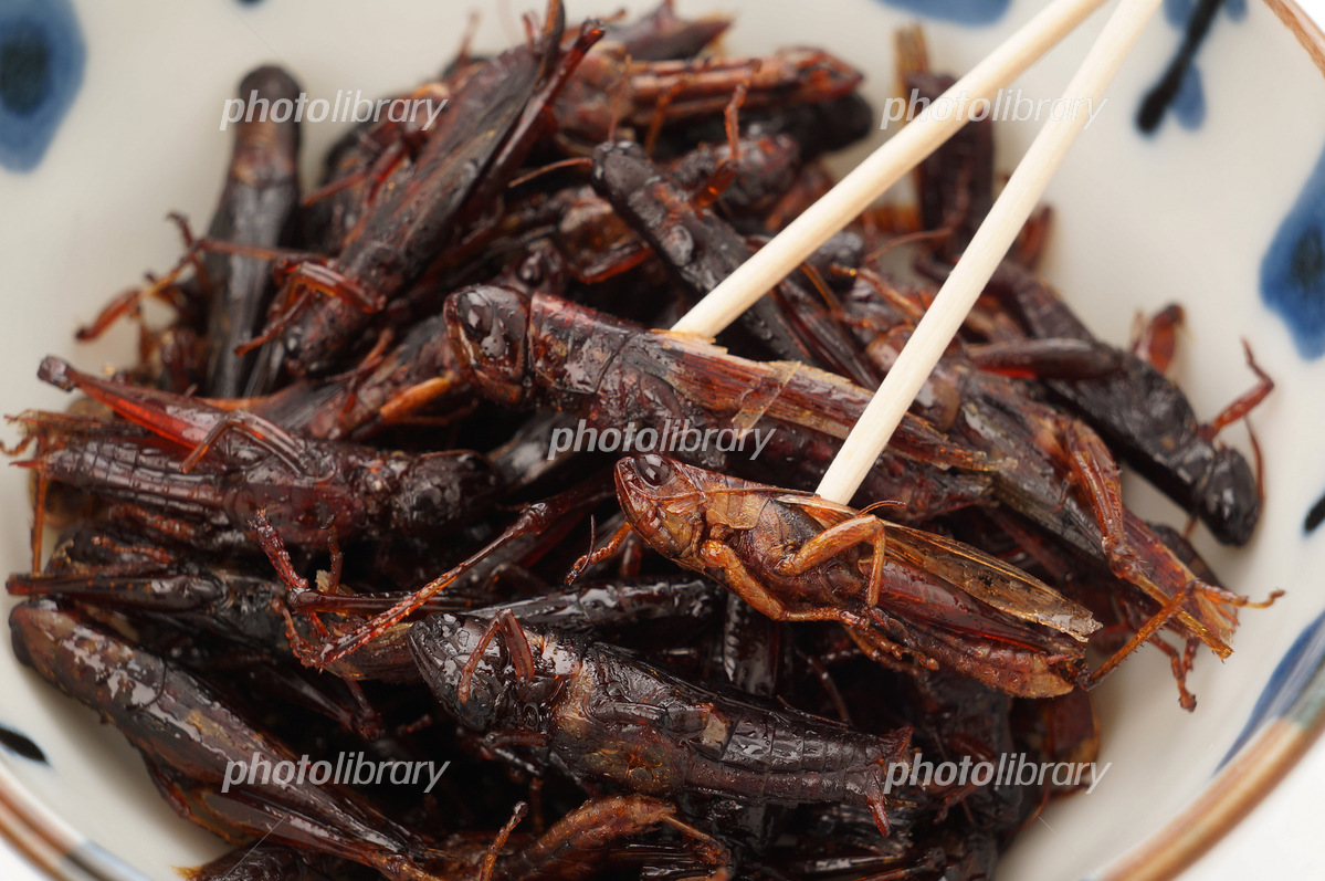 イナゴ甘露煮１５０ｇ いなご佃煮・5,400円以上で送料無料・沖縄県を除く