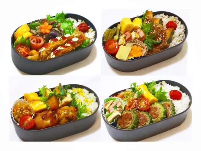 野菜炒めのお弁当 卵焼き・こんにゃく煮物入り 白ごはん.comの作り置きが心強い！お弁当シリーズ：白ごはん.com