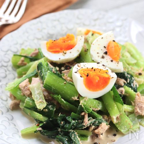 鉄分たっぷり！牛肉と小松菜のオイスターソース炒め今週の作り置きダイエット、フィットネス、ヘルスケアのことならFYTTE-フィッテ