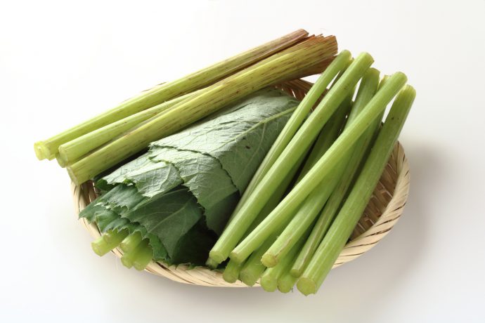 冬の野菜を英語でいうと？ Winter Vegetablesyuko