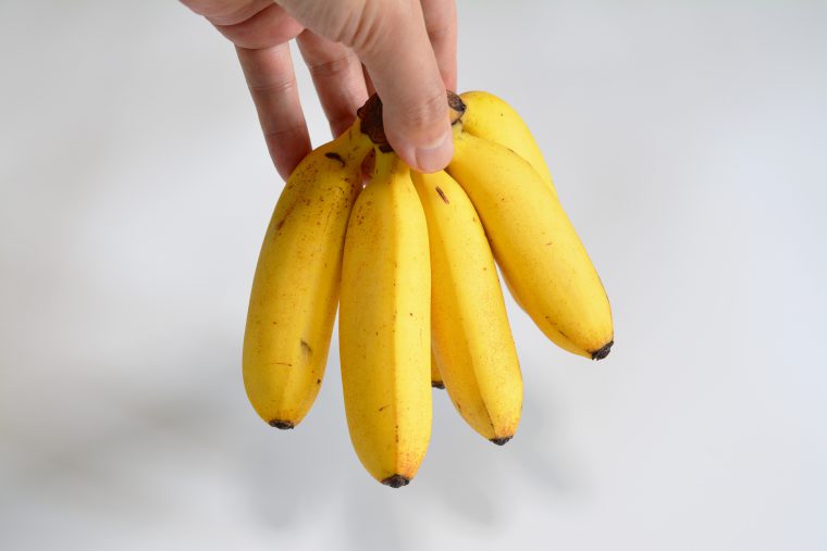 バナナ ばなな・甘蕉・banana 無料画像 – ベジタデジタ