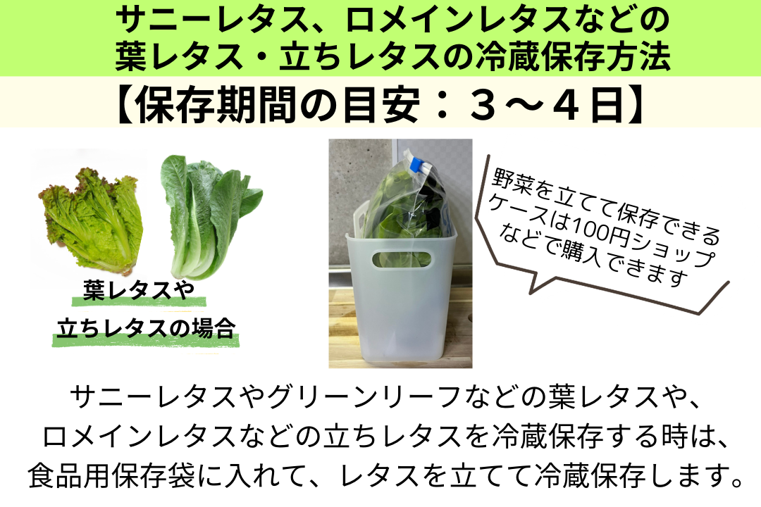 レタスやサラダグリーンのベストな保存方法ELLE gourmetエル・グルメ