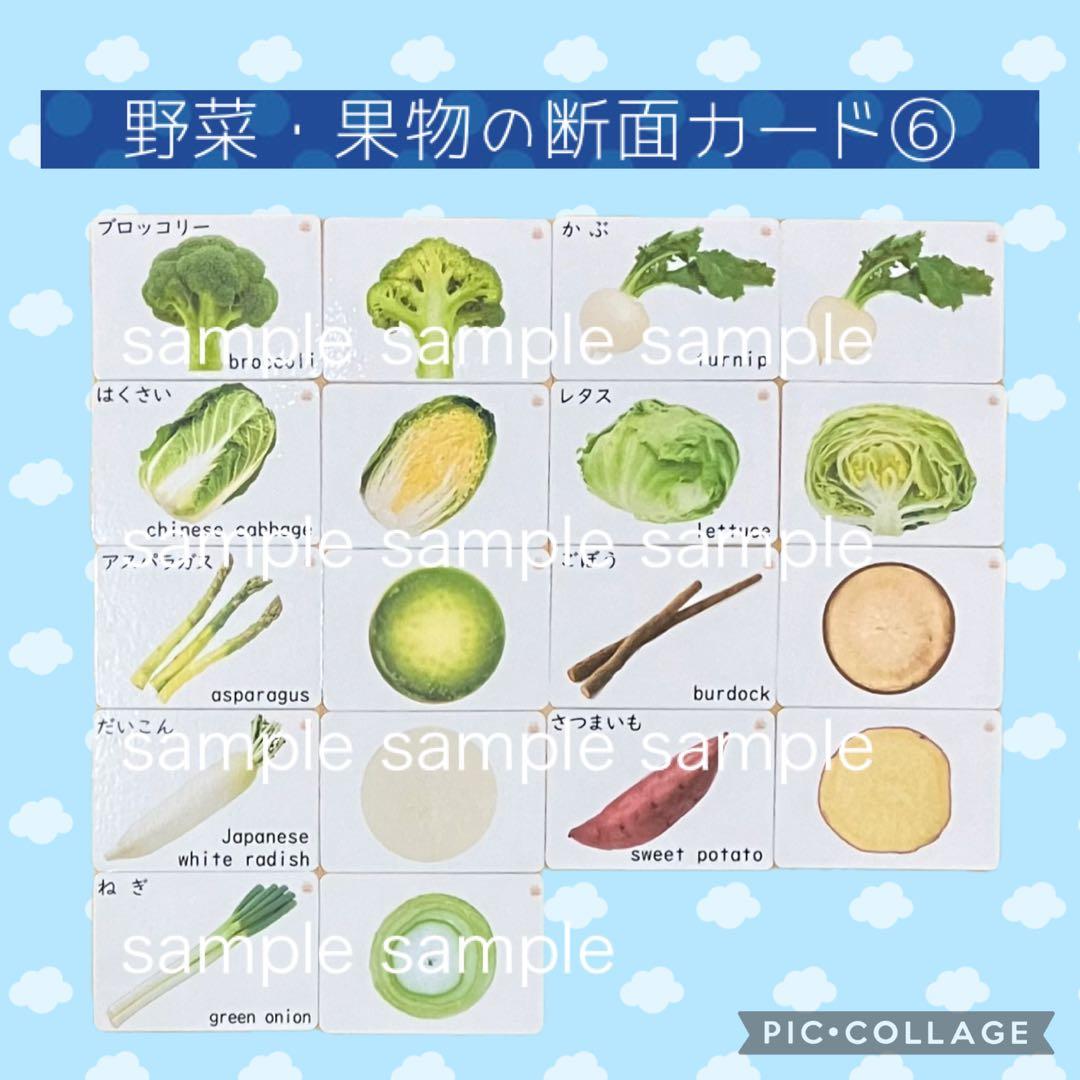 Photo Stock野菜 アボカドの断面 切り抜き素材Adobe Stock