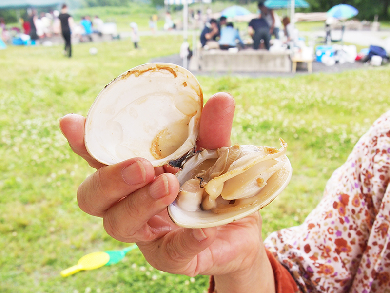 ハマグリの上手な焼き方とは？下準備からさまざまな焼き方まで紹介食・料理オリーブオイルをひとまわし