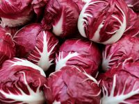 トレビスと紫キャベツの違いは？見た目は似ているけど全く別物！ : Effective's Blog