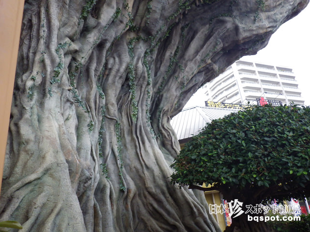 ハーバービューホテル前 ガジュマル –公式 沖縄ハーバービューホテル沖縄那覇市にあるホテル