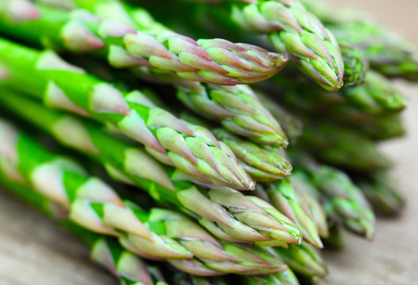 アスパラガスの家庭菜園で大切な土作りと育て方のコツ