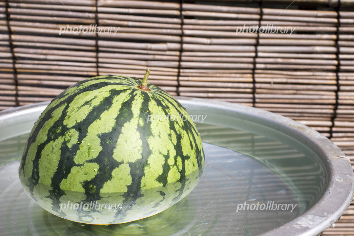 尾花沢すいか金色羅皇1玉 4〜5Lサイズ