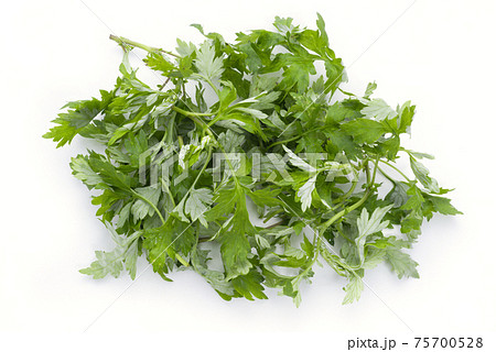 フーチバーとは？よもぎとは違う？その効能や食べ方について紹介！BOTANICA