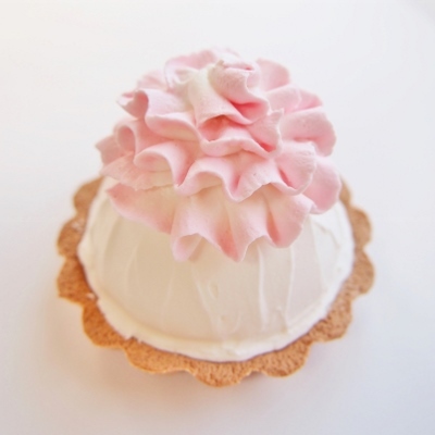 igrek igrekイグレック・イグレックメールでご購入できます: お菓子とケーキ絞り・飾り・生地デコレーションBOOK