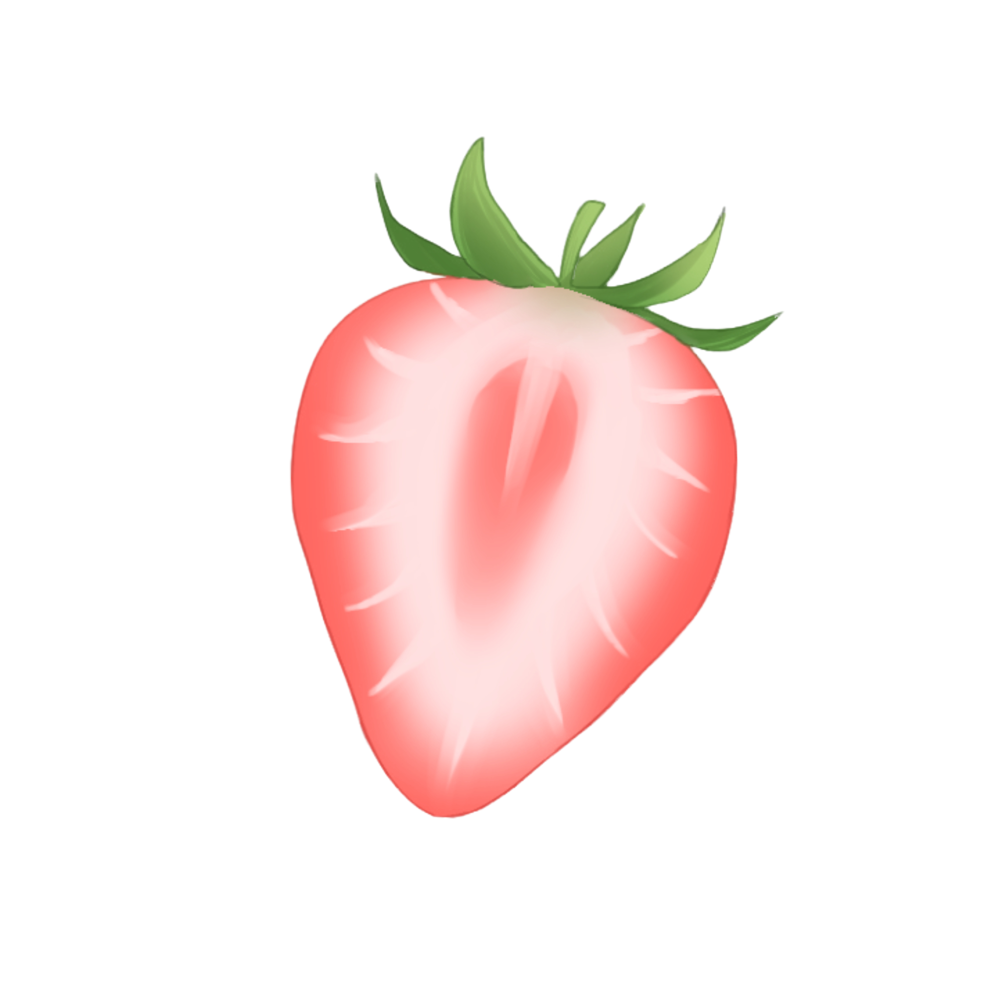 赤いいちごとその断面図のセットイラスト - No: 22116814無料イラスト・フリー素材なら「イラストAC」