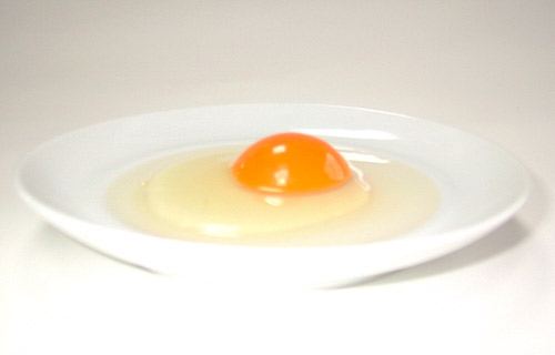 シモフリスズメの卵