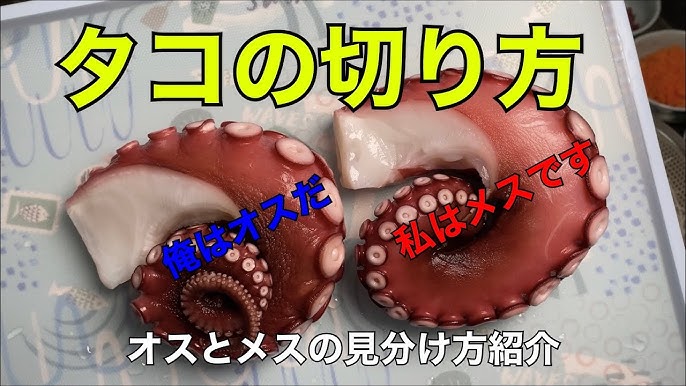 決定版 タコの刺身の上手な切り方とは？おすすめ包丁も紹介KOHNO こうの メディア