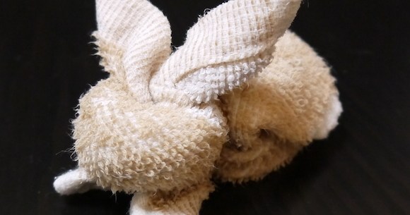 子どもと遊ぶおしぼりアート！かわいいアイディア4選保育士を応援する情報サイト 保育と暮らしをすこやかに ほいくらし