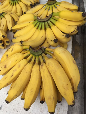 特別価格！ 大人気！ブラジルバナナ＆ナムワバナナ計１kg：沖縄県産のその他バナナ食べチョク産地直送 産直 お取り寄せ通販 -農家・漁師から旬の食材を直送