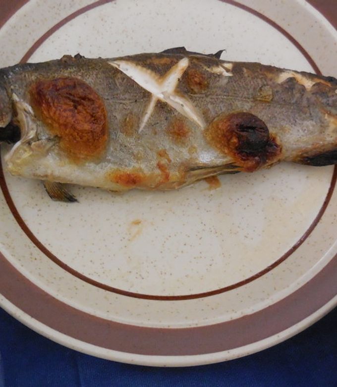 ニジマスの塩焼き愛媛エプロン教室愛媛新聞ONLINE愛媛新聞ONLINE